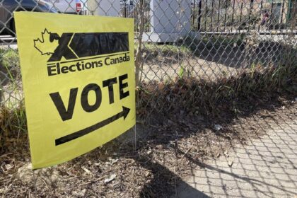 quiz:-a-time-to-celebrate-democracy