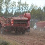 rick-maclean:-like-farmers,-we-just-hope-for-better-days