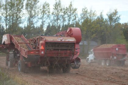 rick-maclean:-like-farmers,-we-just-hope-for-better-days