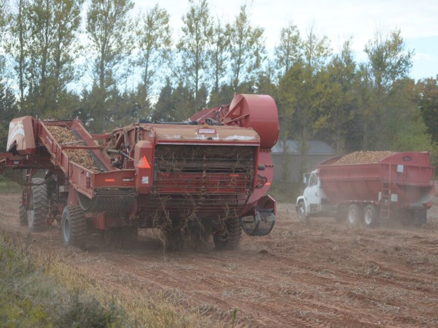 rick-maclean:-like-farmers,-we-just-hope-for-better-days