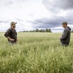 underwear,-turkey-eggs-and-ontario-farmers-helping-the-environment