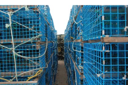 case-of-mi’kmaq-fishermen-accused-of-trying-to-steal-lobster-causes-stir