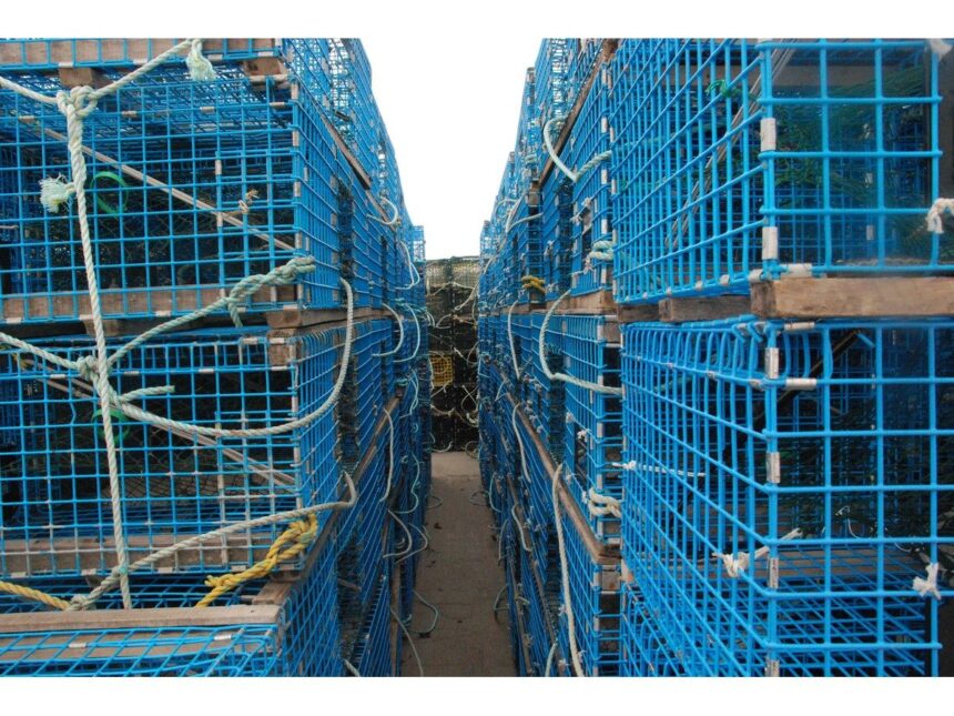 case-of-mi’kmaq-fishermen-accused-of-trying-to-steal-lobster-causes-stir