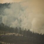 when-a-forest-burns,-what-does-it-mean-for-lakes?-scientists-are-trying-to-find-out