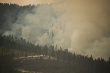 when-a-forest-burns,-what-does-it-mean-for-lakes?-scientists-are-trying-to-find-out