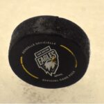 qmjhl:-cape-breton-eagles-fall-out-of-canadian-hockey-league-top-10-rankings