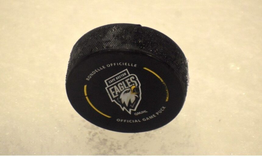 qmjhl:-cape-breton-eagles-fall-out-of-canadian-hockey-league-top-10-rankings