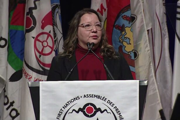 afn-draft-for-upcoming-meeting-with-prime-minister,-premiers,-calls-for-a-first-nations-controlled-wealth-fund