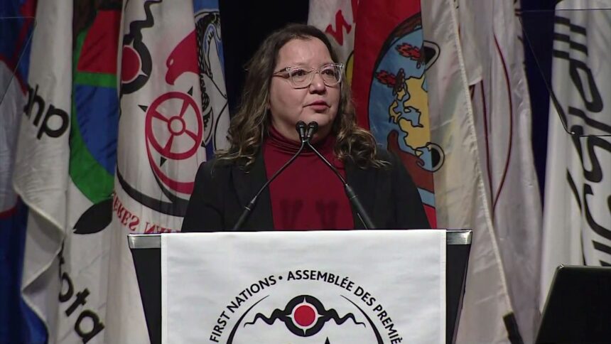 afn-draft-for-upcoming-meeting-with-prime-minister,-premiers,-calls-for-a-first-nations-controlled-wealth-fund