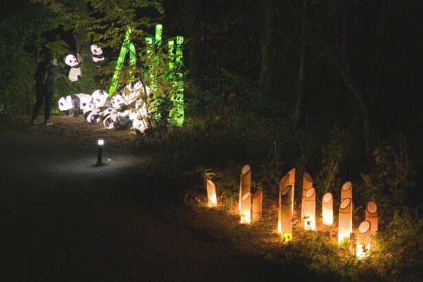 jardin-de-lumieres-:-une-toute-nouvelles-experience-pour-le-25e-du-jardin-des-nations-autochtones