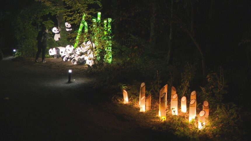 jardin-de-lumieres-:-une-toute-nouvelles-experience-pour-le-25e-du-jardin-des-nations-autochtones
