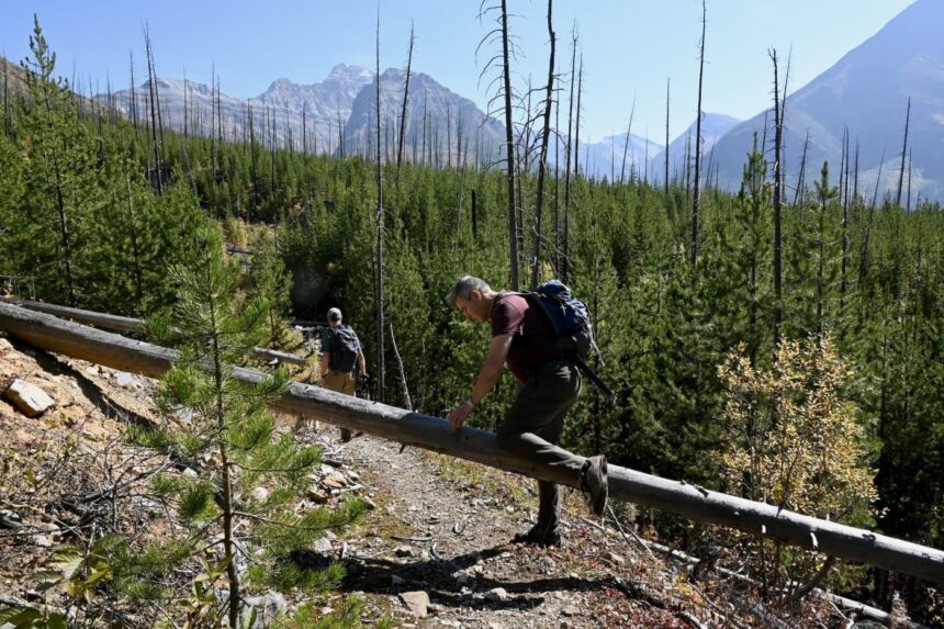 hikers-push-to-protect-backcountry-trails-in-rocky-mountain-national-parks