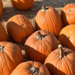 quiz:-a-season-of-thanksgiving