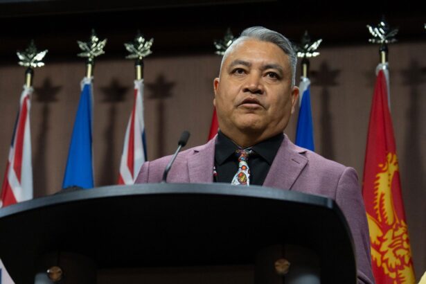 afn-regional-chief-in-bc.-calls-pacific-link-pipeline-to-more-litigation
