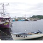 revived-atlantic-fisheries-fund-to-focus-on-market-diversity-for-next-five-years