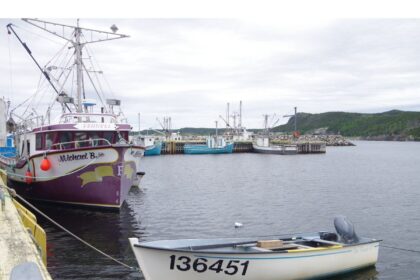 revived-atlantic-fisheries-fund-to-focus-on-market-diversity-for-next-five-years
