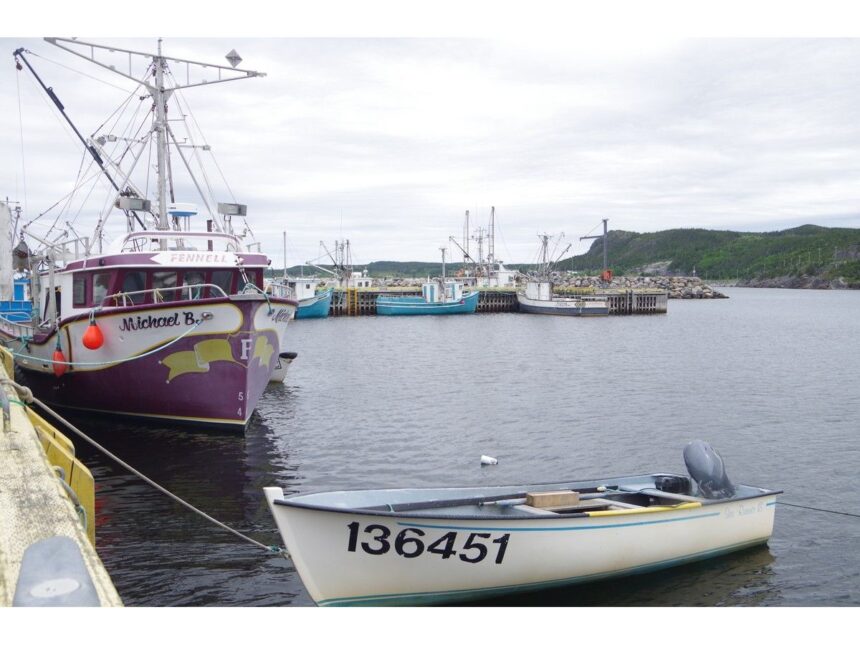 revived-atlantic-fisheries-fund-to-focus-on-market-diversity-for-next-five-years