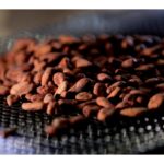 nova-scotia-company-pioneers-method-of-turning-used-coffee-grounds-into-valuable-cocoa-alternative
