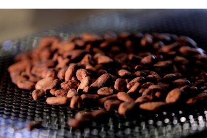 nova-scotia-company-pioneers-method-of-turning-used-coffee-grounds-into-valuable-cocoa-alternative