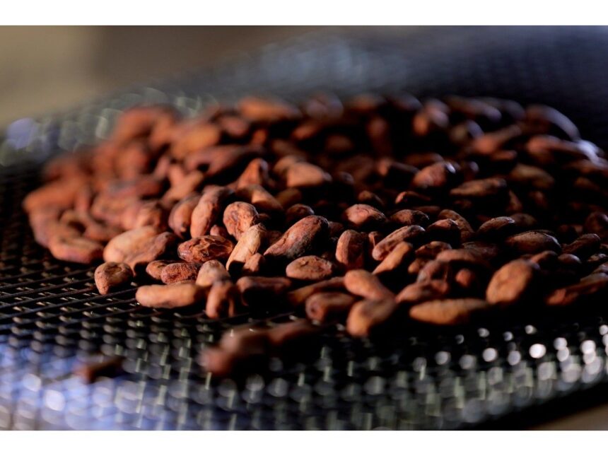 nova-scotia-company-pioneers-method-of-turning-used-coffee-grounds-into-valuable-cocoa-alternative
