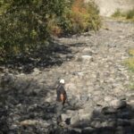 as-parts-of-the-nicola-river-run-dry,-a-father-fears-what-his-children-will-inherit