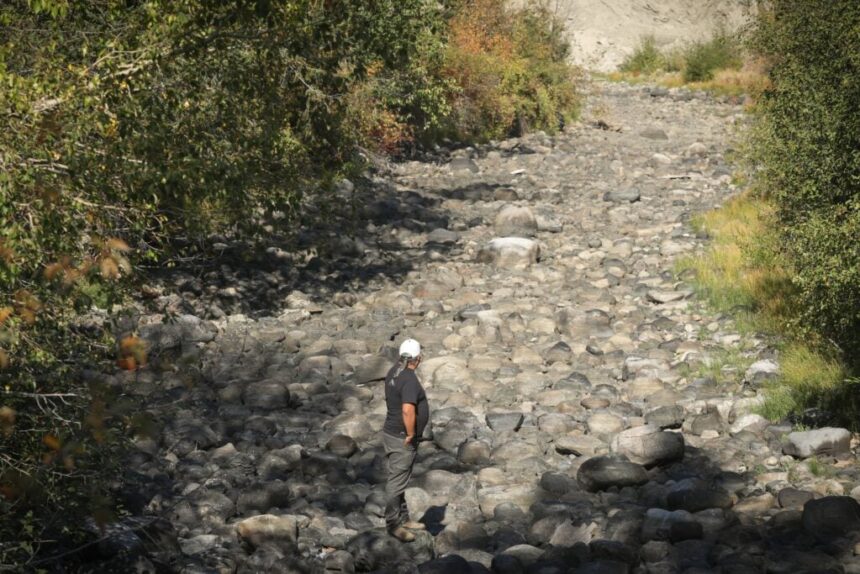 as-parts-of-the-nicola-river-run-dry,-a-father-fears-what-his-children-will-inherit