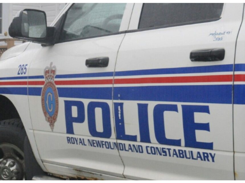 teenage-boy-arrested-for-choking,-weapon-assault-on-female-mun-employee-in-st.-john’s