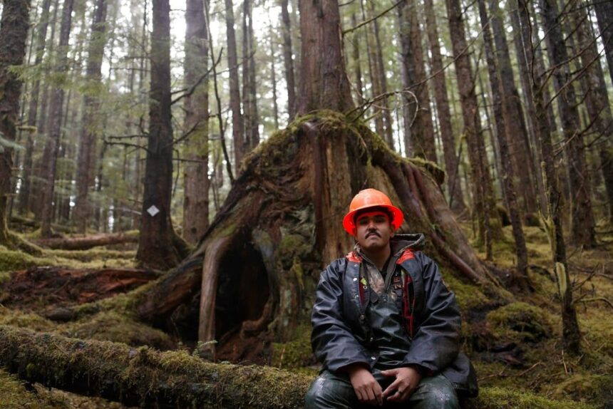on-haida-gwaii,-logging-took-the-trees-that-bears-called-home.-now,-the-haida-nation-is-building-them-new-dens