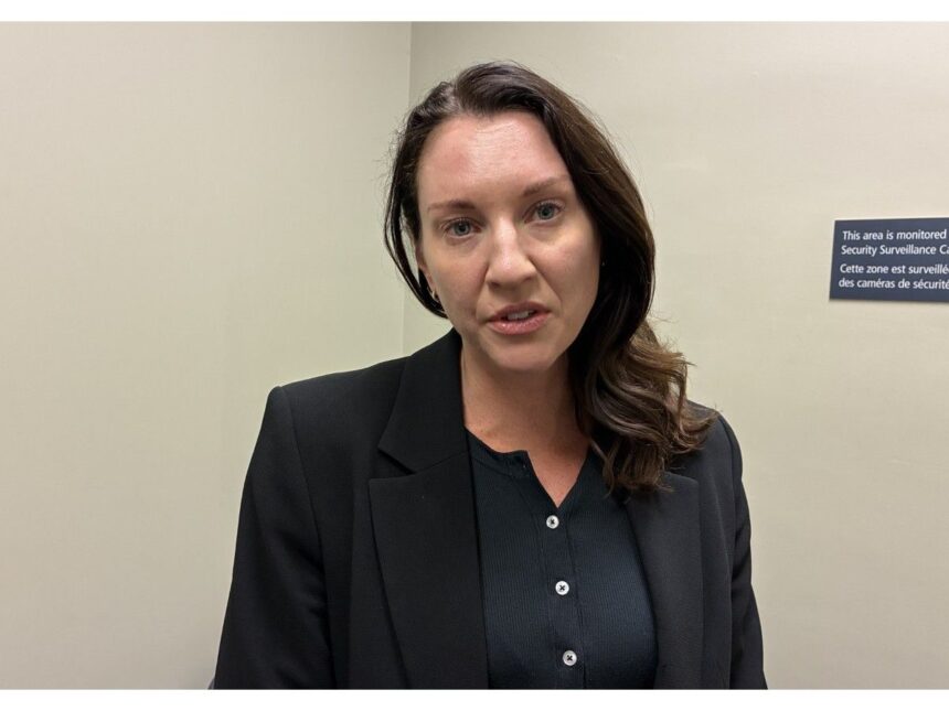 hammonds-plains-man-denied-bail-on-charges-of-intimate-partner-violence