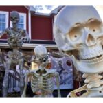 scary-slideshow-shows-spooky,-spectral,-skeletal-scenes-from-around-st.-john’s-metro-area