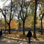 we-take-care-of-each-other:-voices-from-montreals-cabot-square