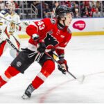 qmjhl-eyes-higher-than-average-number-of-first-round-picks-for-nhl-draft