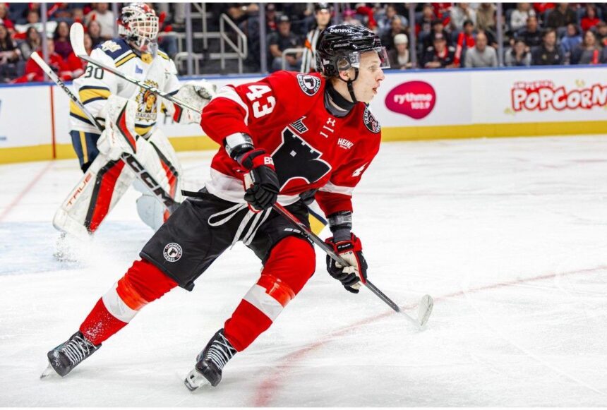 qmjhl-eyes-higher-than-average-number-of-first-round-picks-for-nhl-draft